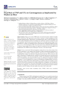 Dual Role of TNF and Ltα in Carcinogenesis As Implicated by Studies in Mice