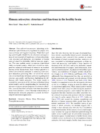 Human Astrocytes: Structure and Functions in the Healthy Brain