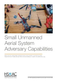 Small Unmanned Aerial System Adversary Capabilities