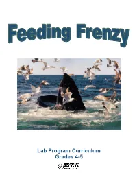 Lab Program Curriculum Grades 4-5
