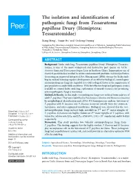 The Isolation and Identification of Pathogenic Fungi from Tessaratoma Papillosa Drury (Hemiptera: Tessaratomidae)