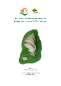 EAZA Best Practice Guidelines for Polynesian Tree Snails (Partula Spp)