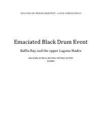 Emaciated Black Drum Event