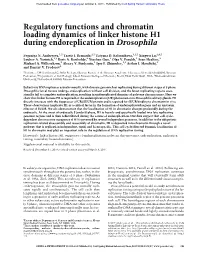 Regulatory Functions and Chromatin Loading Dynamics of Linker Histone H1 During Endoreplication in Drosophila