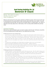 Seed Saving Guideline No. 16 Beetroot & Chard