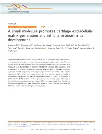 A Small Molecule Promotes Cartilage Extracellular Matrix Generation and Inhibits Osteoarthritis Development
