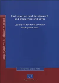 First Report on Local Development and Employment Initiatives