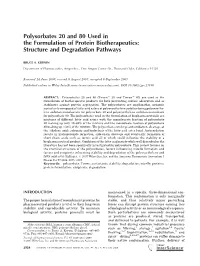 Polysorbates 20 and 80 Used in the Formulation of Protein Biotherapeutics: Structure and Degradation Pathways