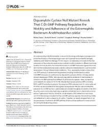 Diguanylate Cyclase Null Mutant Reveals That C-Di-GMP Pathway Regulates the Motility and Adherence of the Extremophile Bacterium Acidithiobacillus Caldus
