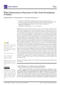 Redox Homeostasis in Pancreatic Β-Cells: from Development to Failure