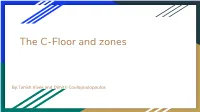 The C-Floor and Zones