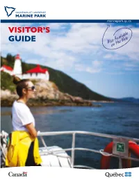 Visitor's Guide