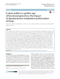 A Silver Bullet in a Golden Age of Functional Genomics: the Impact of Agrobacterium-Mediated Transformation of Fungi