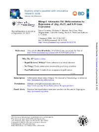 Blimp-1 Attenuates Th1 Differentiation by Repression of Ifng, Tbx21, and Bcl6 Gene Expression