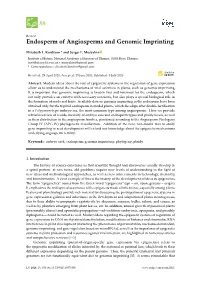 Endosperm of Angiosperms and Genomic Imprinting