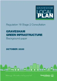 GREEN INFRASTRUCTURE Background Paper