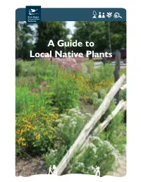 A Guide to Local Native Plants Why Are Native Plants Important?