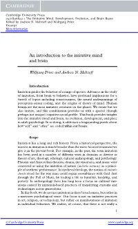 An Introduction to the Imitative Mind and Brain