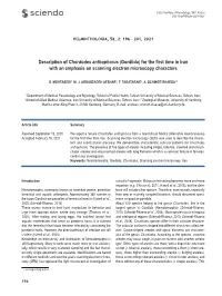 Description of Chordodes Anthophorus (Gordiida) for the First Time in Iran with an Emphasis on Scanning Electron Microscopy Char