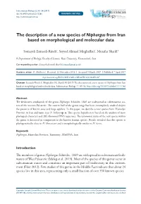 ﻿The Description of a New Species of Niphargus from Iran Based On