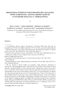 Behavioral Evidence for Intraspecific Signaling with Achromatic and Polarized Light by Cuttlefish (Mollusca: Cephalopoda)