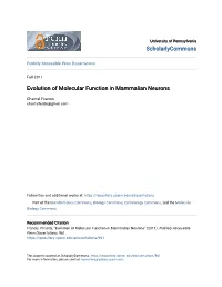 Evolution of Molecular Function in Mammalian Neurons