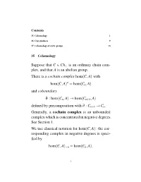 Plex, and That a Is an Abelian Group. There Is a Cochain Complex Hom(C,A) with N Hom(C,A) = Hom(Cn,A) and Coboundary
