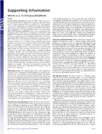 Supporting Information
