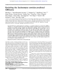 Revisiting the Saccharomyces Cerevisiae Predicted Orfeome