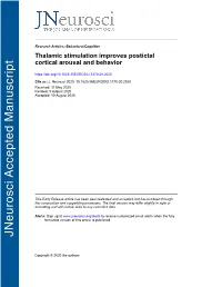 Thalamic Stimulation Improves Postictal Cortical Arousal and Behavior