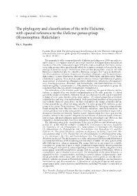 The Phylogeny and Classification of the Tribe Halictini, with Special Reference to the Halictus Genus-Group (Hymenoptera: Halictidae)