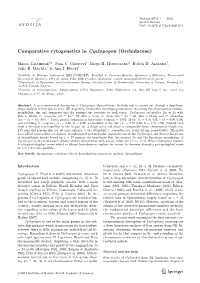 Comparative Cytogenetics in Cyclopogon (Orchidaceae)