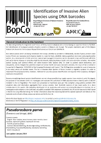 Identification of Invasive Alien Species Using DNA Barcodes