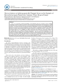 Microevolution on Anthropogenically Changed Areas on the Example of Biscutella Laevigata Plants from Calamine Waste Heap in Pola