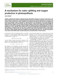 A Mechanism for Water Splitting and Oxygen Production in Photosynthesis James Barber*