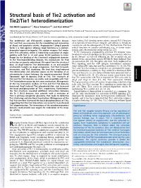 Structural Basis of Tie2 Activation and Tie2/Tie1 Heterodimerization