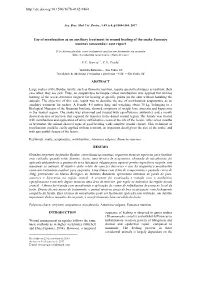 Use of Moxibustion As an Auxiliary Treatment in Wound Healing of the Snake Eunectes Murinus (Anaconda): Case Report