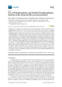 Use of Polyphosphates and Soluble Pyrophosphatase Activity in the Seaweed Ulva Pseudorotundata
