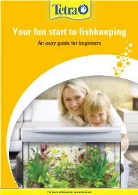 Your Fun Start to Fishkeeping an Easy Guide for Beginners