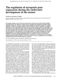 The Regulation of Myogenin Gene Expression Duringthe Embryonic Development of Tile Mouse