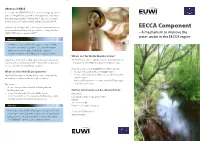 EECCA Component for Certain National Policy Dialogues in Future – Along with the OECD/EAP Task Force and the UNECE