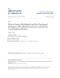 Heterochrony, Modularity, and the Functional Evolution of the Mechanosensory Lateral Line Canal System of Fishes Nathan C