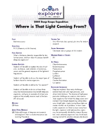 Where Is That Light Coming From?