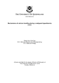 Mechanisms of Calcium Handling During a Malignant Hyperthermia Event