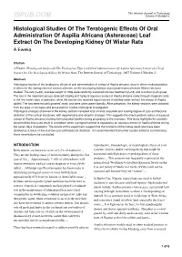 Leaf Extract on the Developing Kidney of Wistar Rats a Eweka