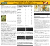Molecular Detection of Phytophthora Sojae in Glycine Max Through Conventional and Real-Time PCR J