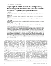 Polymorphism and Genetic Relationships Among Tea Genotypes from Turkey Revealed by Amplified Fragment Length Polymorphism Marker