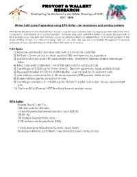 RIPA Buffer Lysis Protocol