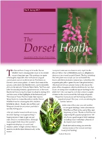 Dfg Spring Newsletter 2017.Pdf