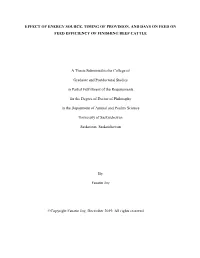 EFFECT of ENERGY SOURCE, TIMING of PROVISION, and DAYS on FEED on FEED EFFICIENCY of FINISHING BEEF CATTLE a Thesis Submitted T
